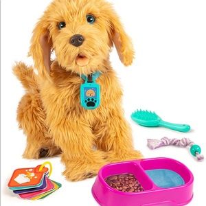 Moji the Lovable Labradoodle